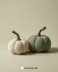 Par de calabazas decorativas de otoño con textura tejida sobre mesa