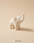 Elefante Nórdico, vista principal sobre fondo tonal