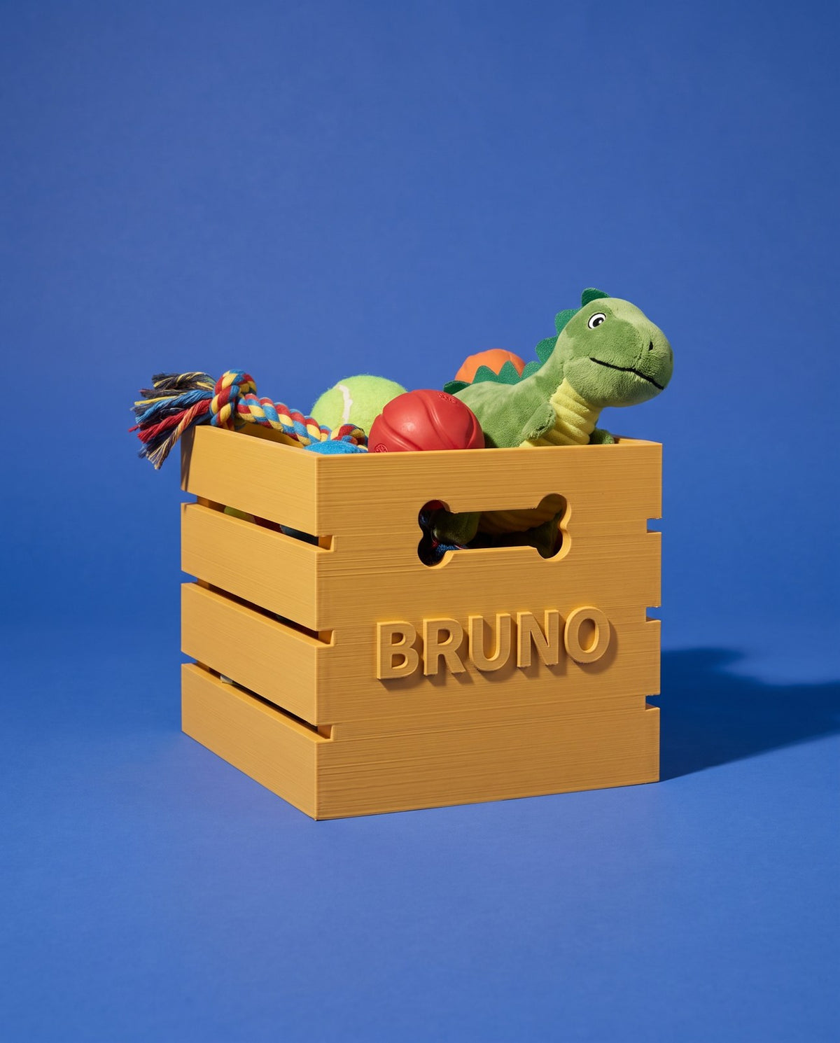 Caja para Juguetes de Perro con Asa de Hueso — Personalizada con Nombre