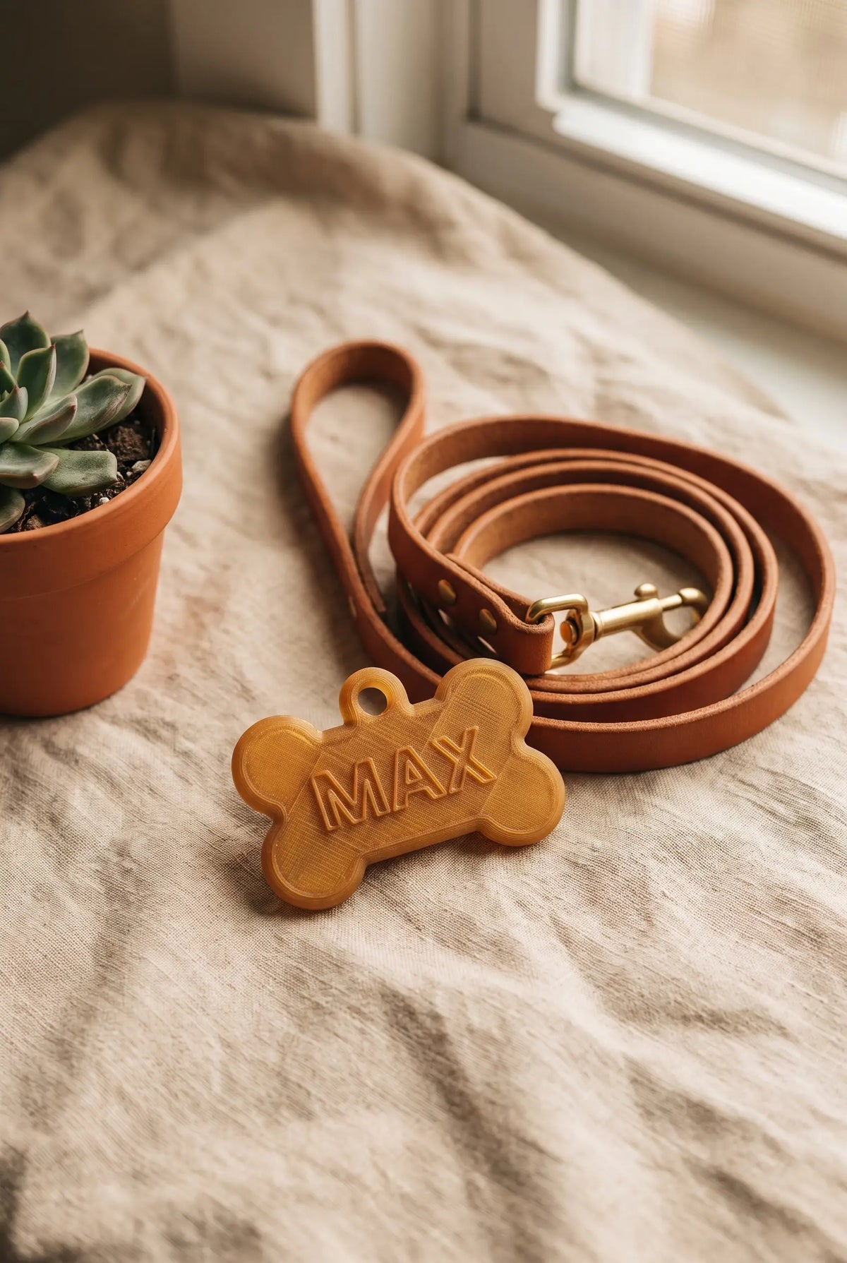 Placa de Identificación para Perro Personalizada con Nombre — vista 3 | once once LAB