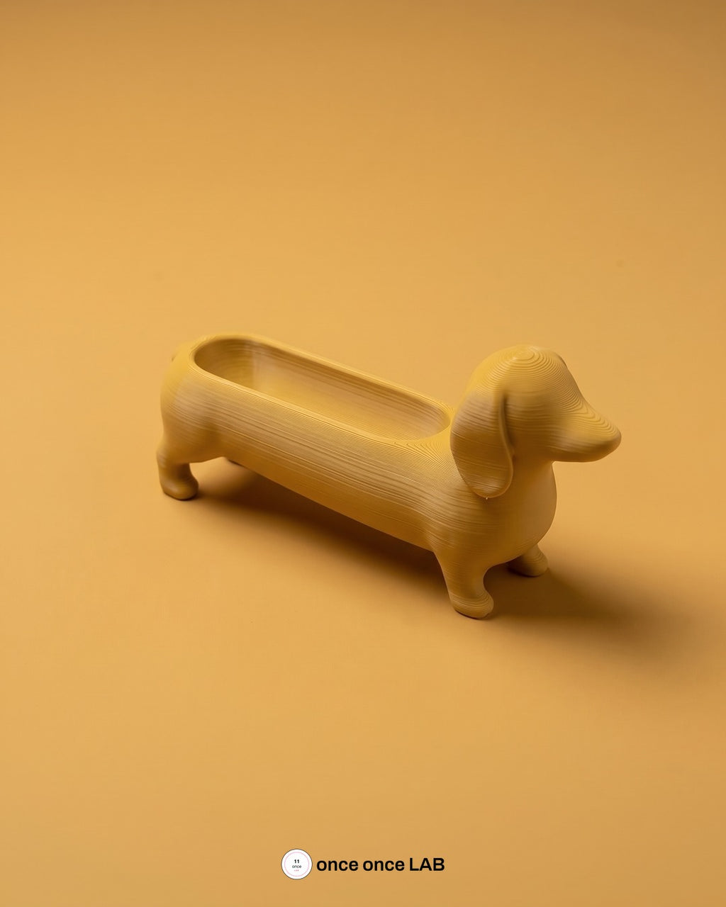 Perro Salchicha, otro ángulo